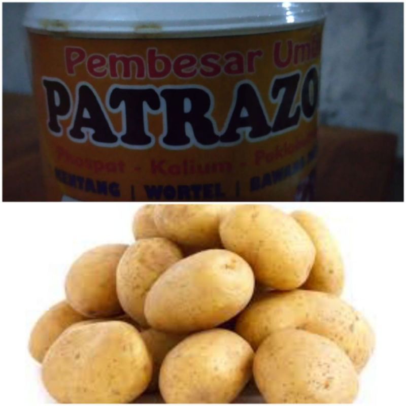 Pupuk Perangsang Pertumbuhan Umbi-umbian PATRAZOL