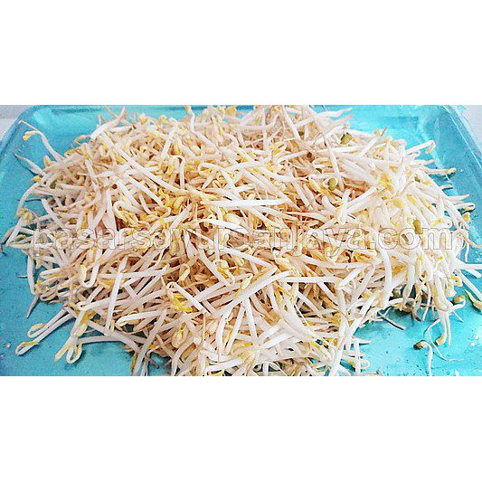 

Kecambah Cambah Tauge Toge 500 gram