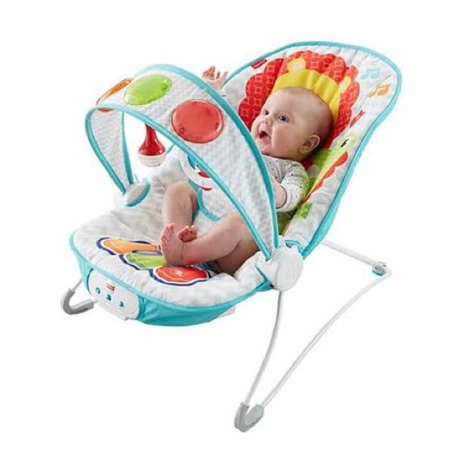 fisher and paykel bouncer