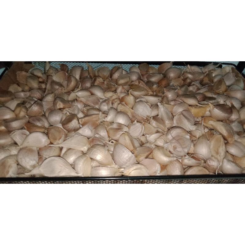 

Bawang putih kating