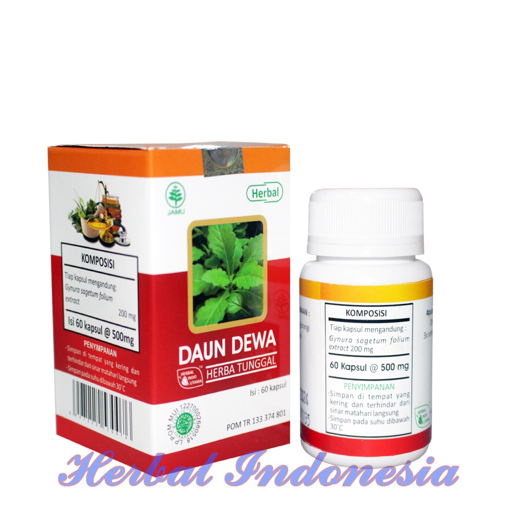 Kapsul Daun Dewa HIU iSI 60 - Obat Herbal Lever Kencing Manis - TB Paru, Kista