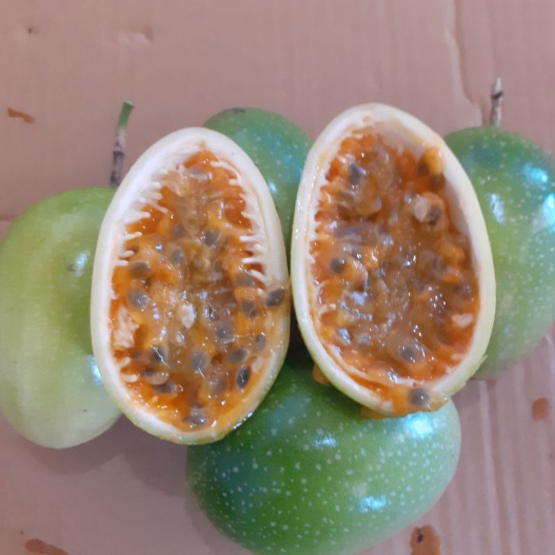 

buah seger markisa saprola atu koyal pr 1kg