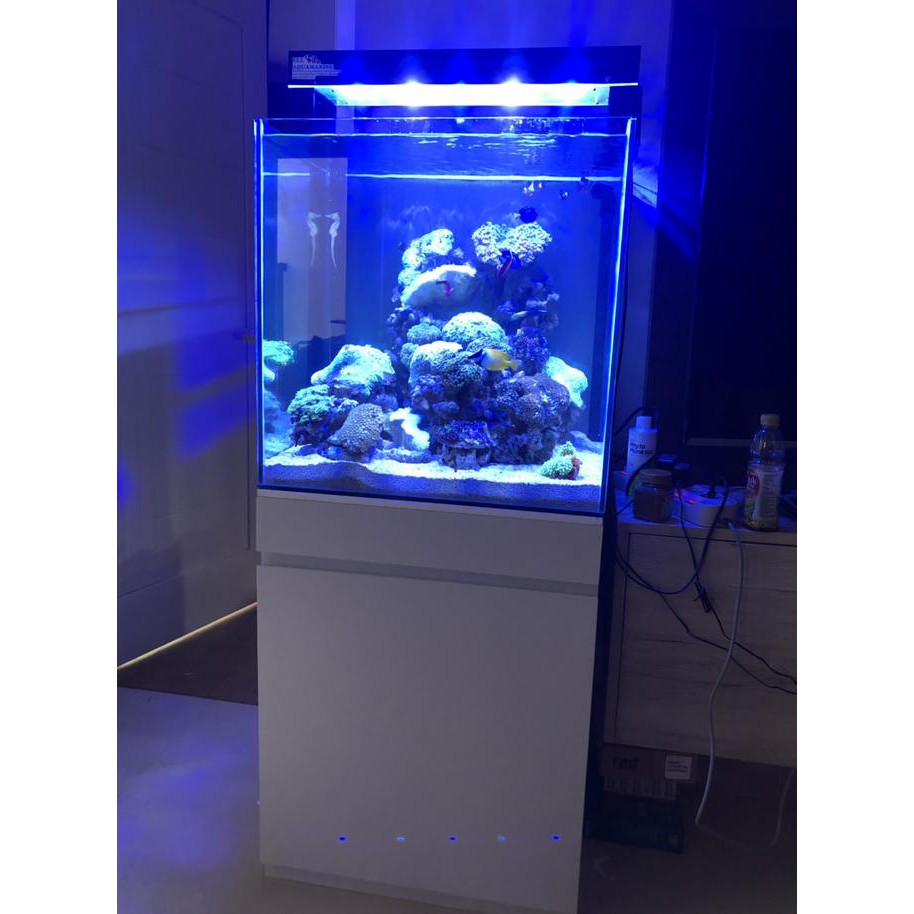 disini aja paket cabinet meja  aquarium  air laut uk 60x60cm 