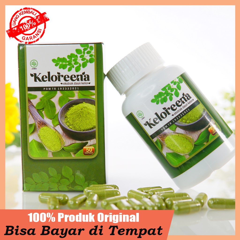 Keloreena Kapsul Daun Kelor ASLI 100% Original Di Makassar Sedia 50 dan 100 Kapsul Bergaransi