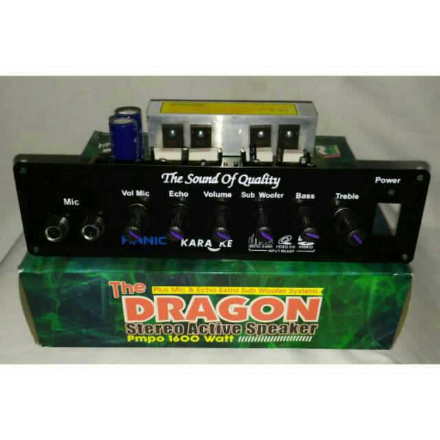 KIT Aktif speaker mic echo subwoofer Dragon