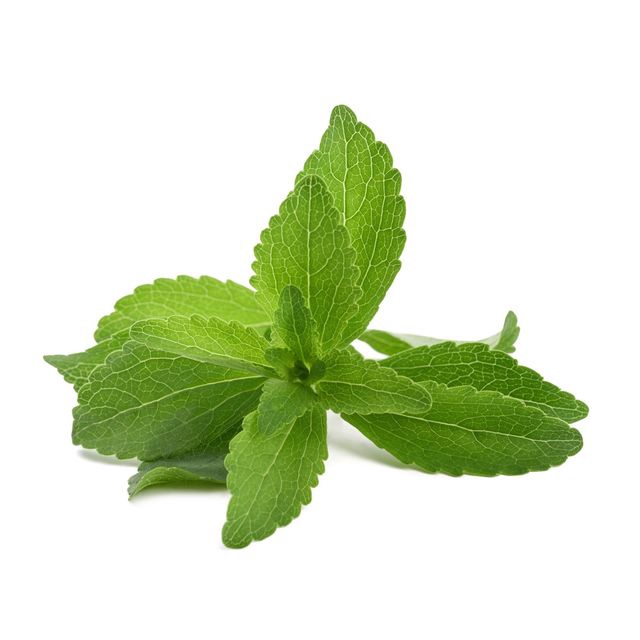 

Serbuk dan Simplisia daun Stevia