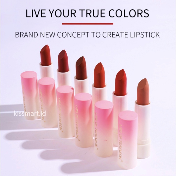 TEAYASON Lipstik Velvet Matte Lip Glaze Velvet Lipstick TD004