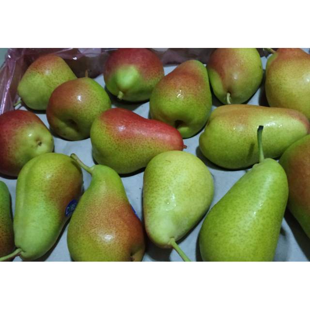 Buah import