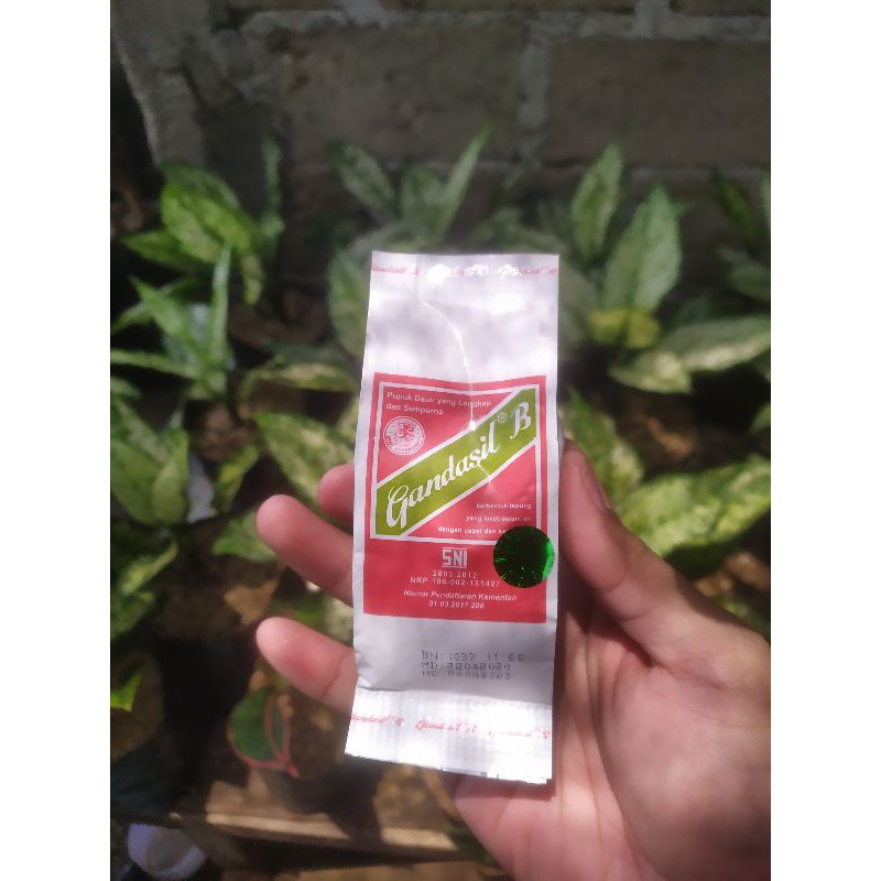 Jual Gandasil B & D Pupuk Daun Lengkap Dan Sempurna - Penyubur ...