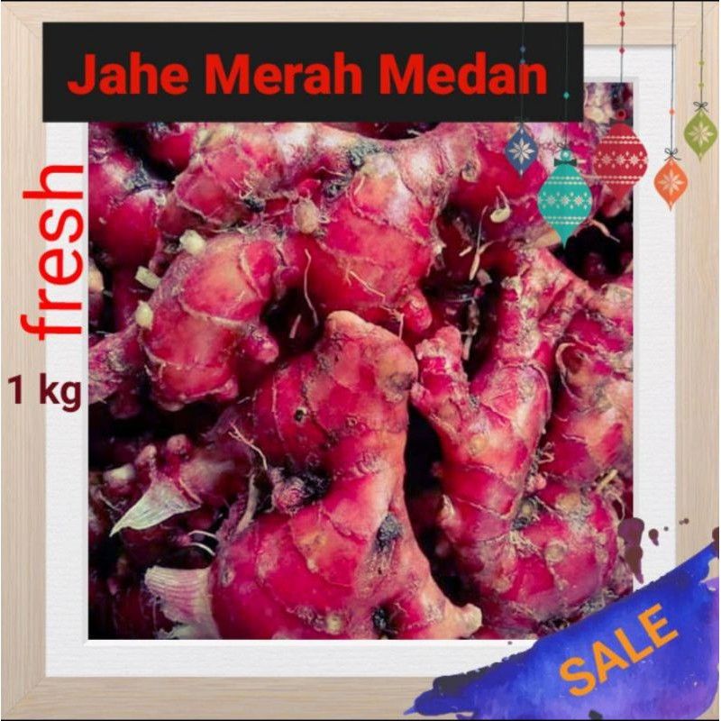 

JAHE MERAH SUPER SEGAR BERAT 500 GRAM