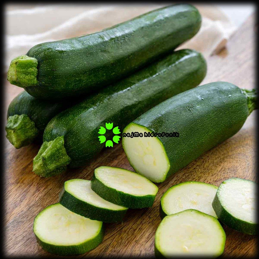 2 Butir Benih Zucchini Repacking (Known You)