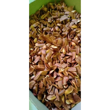 

biji mahoni 1kg termurah berkualitas