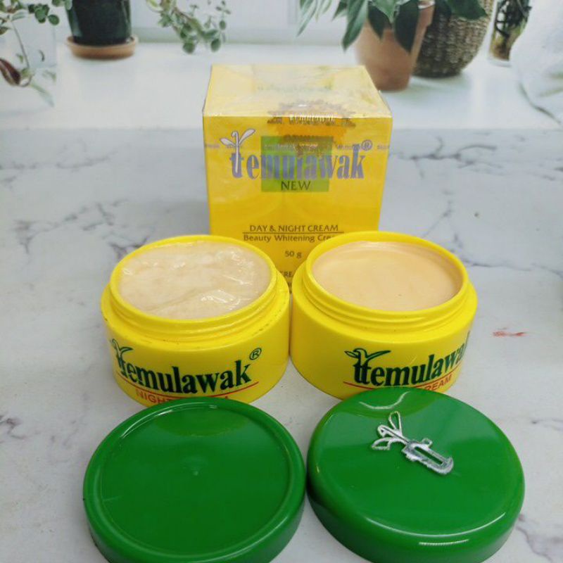 Paket Cream Temulawak New R 5in1 (sabun widya, toner, serum new r temulawak, cream siang malam temulawak import)