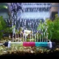 Gelembung Air Aquarium Panjang DANCING WARNA 60 cm /Air Stone / Pipa