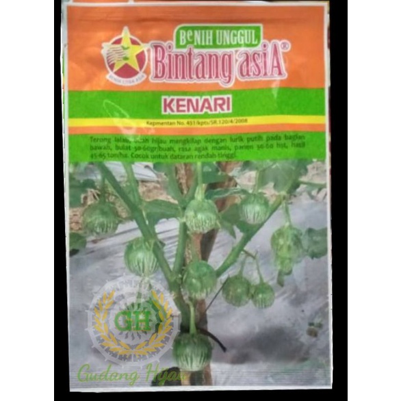Benih terong KENARI 10 gram bibit terong lalap