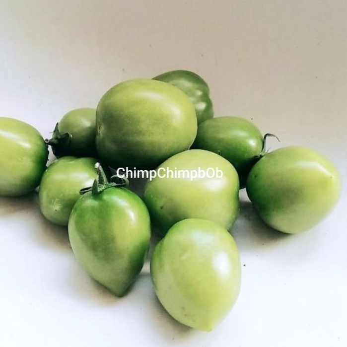 

TOMAT HIJAU SEGAR 500 GRAM / GREEN TOMATO FRESH