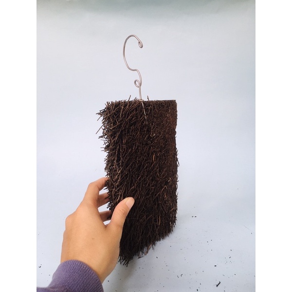 Pakis Kotak Media Anggrek - Papan Pakis - Pakis Kotak - sudah ada kawat gantung (Siap Pakai)