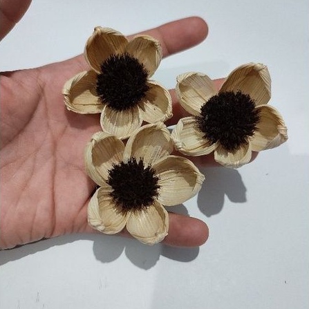 MURAH. bunga kering bunga klobot kamboja