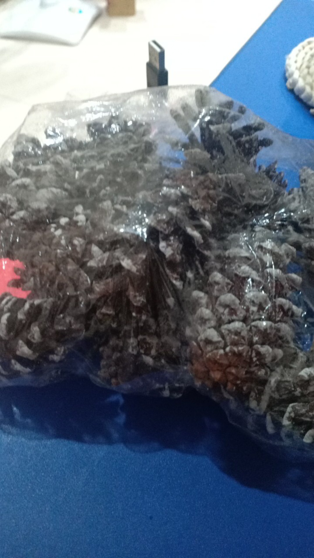 Bunga Pinus Salju Bunga Pinus Kering Putih Salju Hiasan Pohon Natal Dekorasi Natal