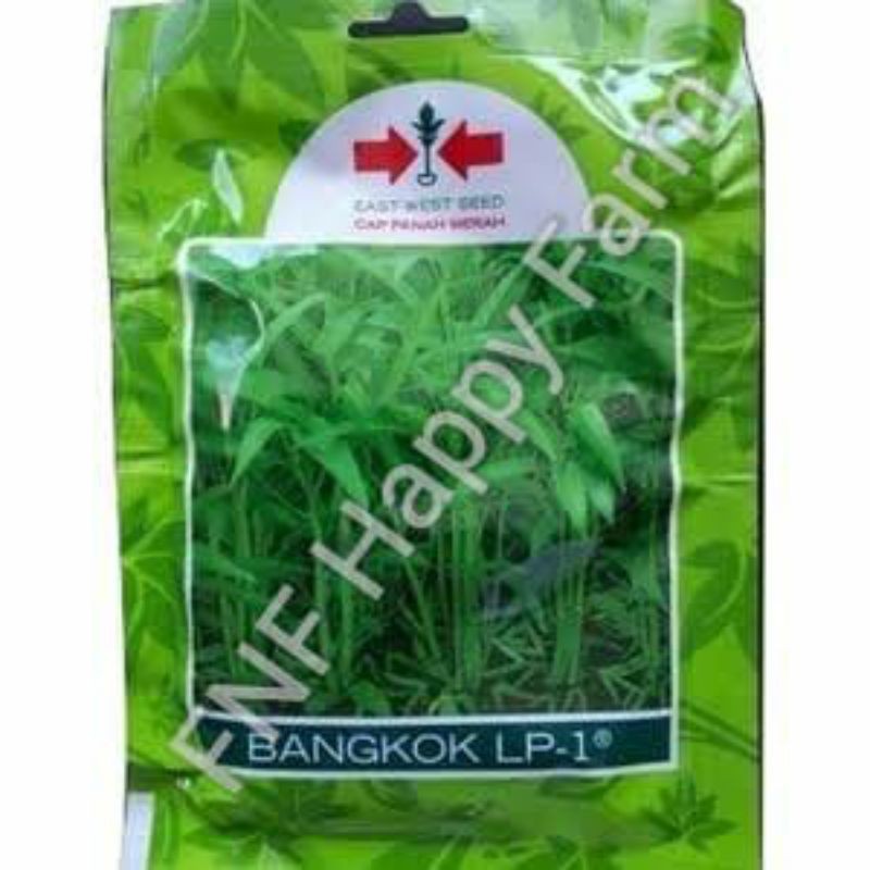 Jual Benih Kangkung Bangkok Sachet 1500 Btr | Shopee Indonesia