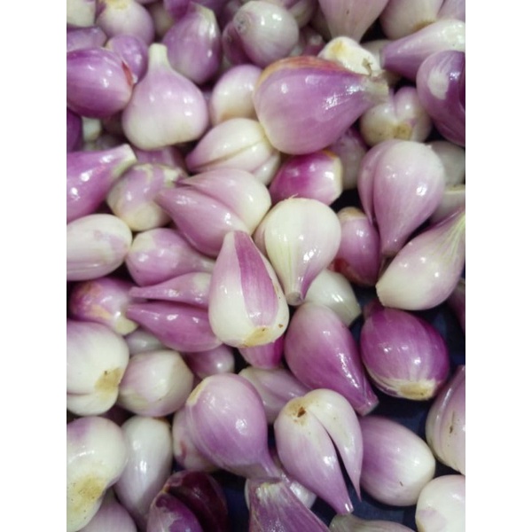 

BAWANG MERAH BREBES KUPAS 1KG