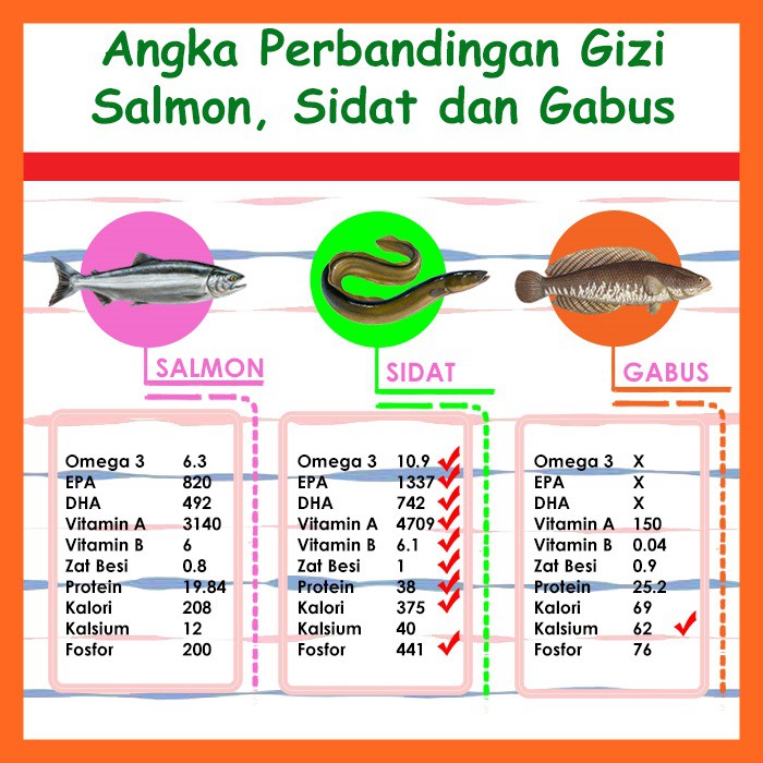 Vitamin Penambah Nafsu Makan Anak dan Suplemen Nutrisi Vitamin Untuk Otak Anak Nutridat