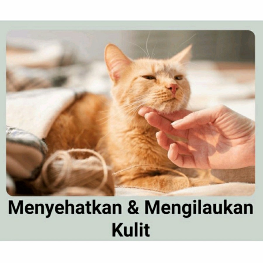 Maggpro Omega Oil suplemen makanan anjing dan kucing vitamin hewan peliharaan meningkatkan kesehatan kulit bulu pencernaan kecerdasan otak