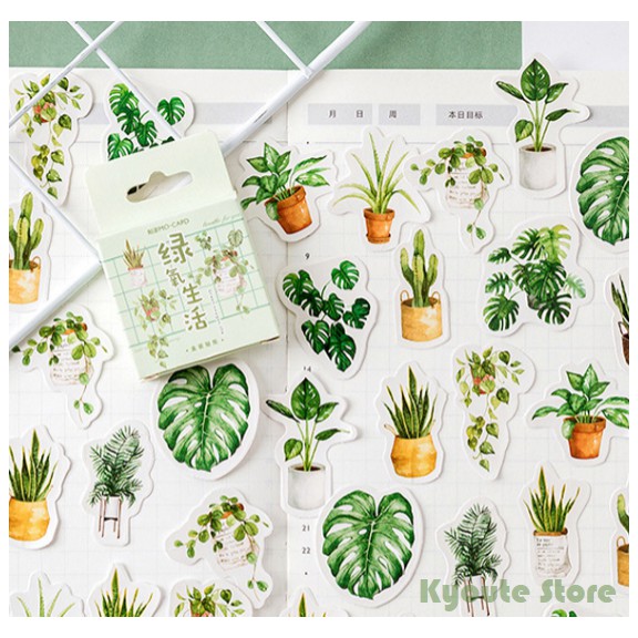 

Sticker Deco Motif Tanaman Hijau Diary Journaling Bujo Scrapbook DIY Kaktus