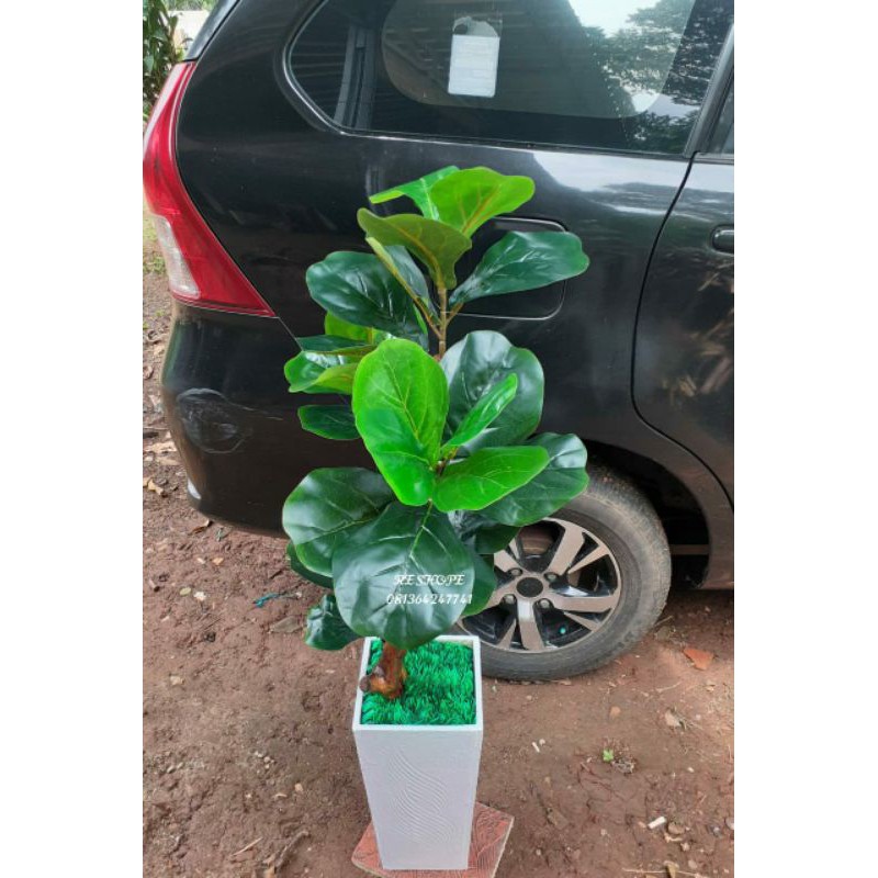 Bunga hias/bunga plastik/daun ketapang/pohon ketapang/bunga ketapang