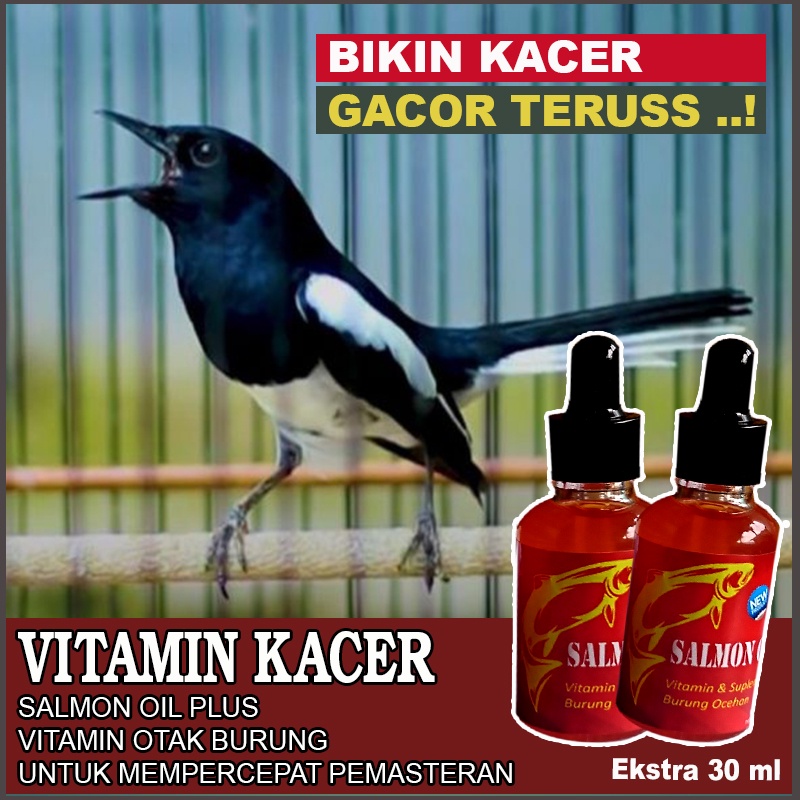 Vitamin Burung Kacer Salmon Oil Plus Minyak Ikan