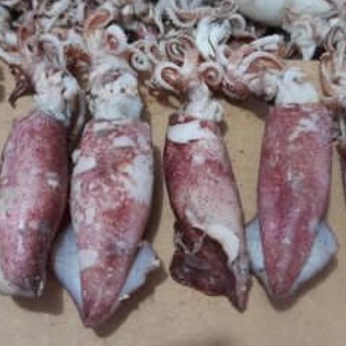 

[COD] CUMI ASIN BESAR 250 gram [COD]