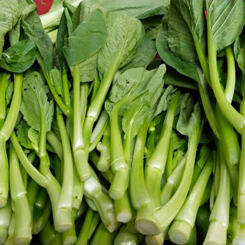 

SAYUR CAISIM MANIS/SAWI CAISIM PER BUNGKUS 300GRAM.