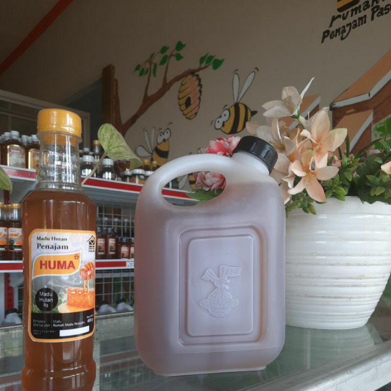 

Madu Hutan Kalimantan 2400 gr