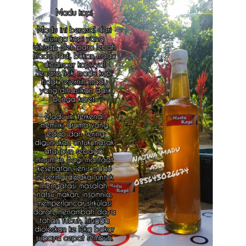 

Madu©saribunga©kopi©murni/1kg