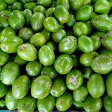 

BUAH KEDONDONG FRESH PAKET (5kg)