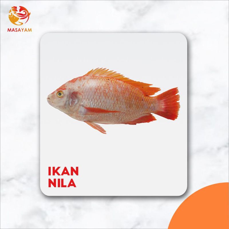 

ikan nila