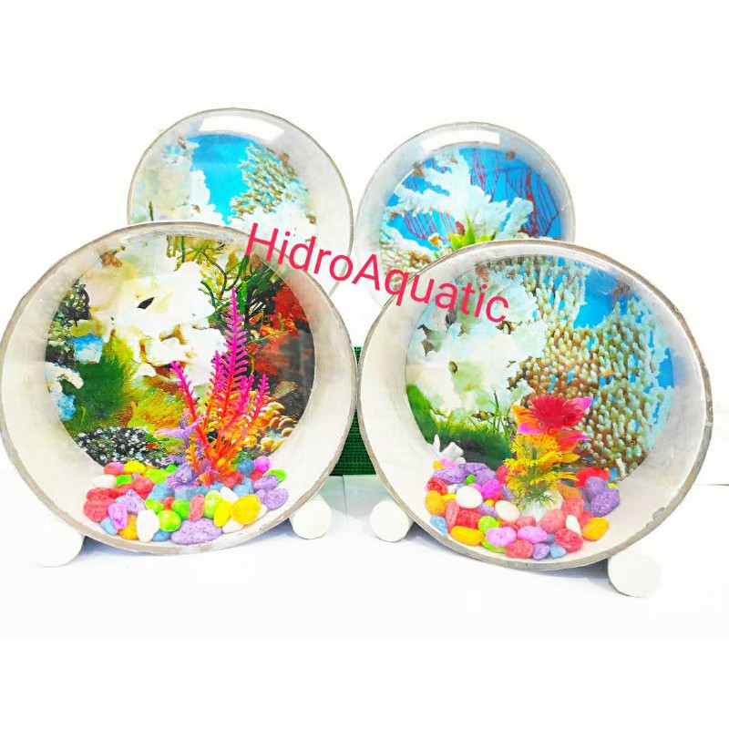 Aquarium mini / Aquarium cupang / Aquarium gantung diameter 6inch