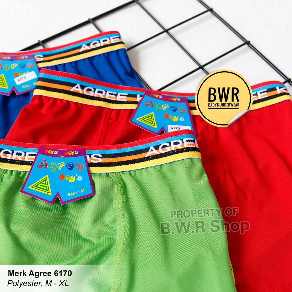 [ 3pc ] CD Boxer Agree Boys 6170 Warna / Celana Renang Anak laki Laki Polyester | Bwr