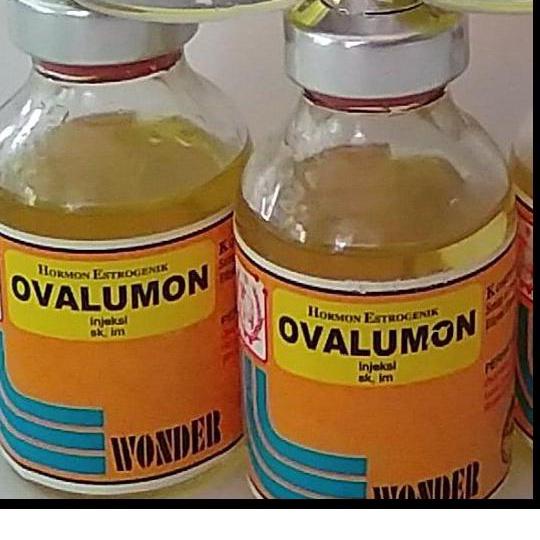 Serbuuuu.. OVALUMON 20ML OVALUMON 5ML OVALUMON OBAT BIRAHI OVALUMON KUCING UNTUK BABI SUNTIK KELINCI