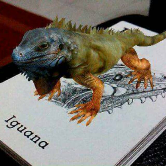 Animal card 4D+ flashcard 4 dimensi