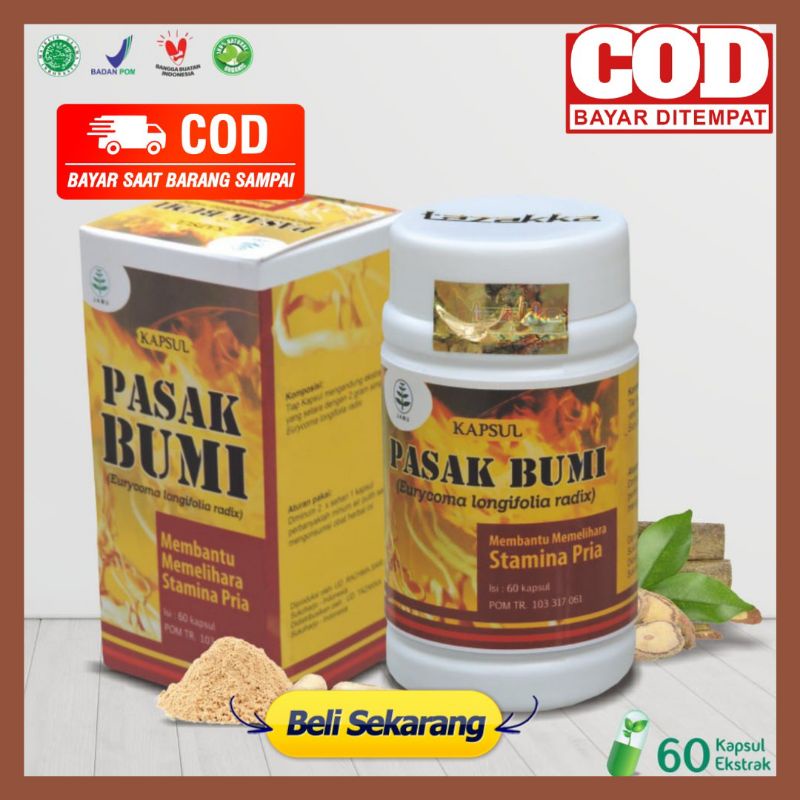 PASAK BUMI Tazakka Isi 60 - Kapsul Pasak Bumi Obat Stamina Pria Dewasa Suplemen Daya Tahan Tubuh Pur