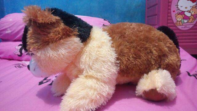 Boneka kucing size:XL