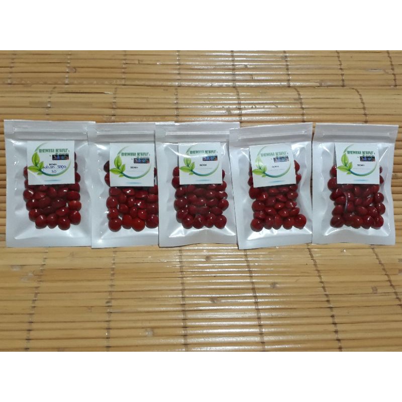 Biji saga /pohon saga biji unik