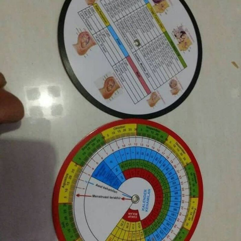 Kalender Kehamilan Putar / Alat hitung usia kehamilan janin / kalender hamil