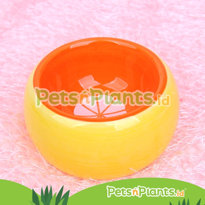 Tempat Makan Hamster Keramik Premium Import - Aneka Model Warna Ukuran