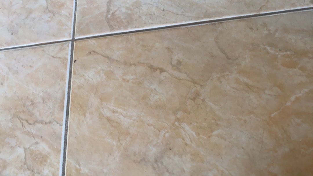 Sepatu Wanita Kulit Asli - Sepatu Kantor Pantofel Kulit Asli - 621ts