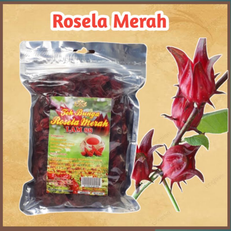 Jual Teh Bunga Rosela Merah 100 Gr Shopee Indonesia 9217