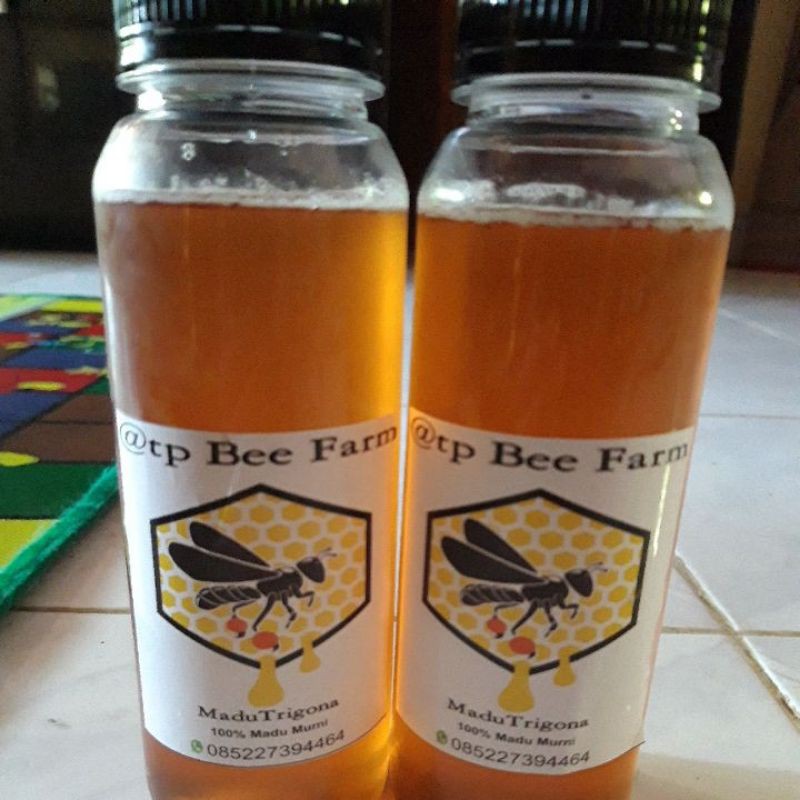 

Madu Klanceng/Trigona Murni 100%