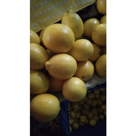 

jeruk lemo calipornia kuning 500 gr