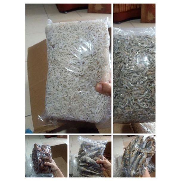 

ikanterimedan